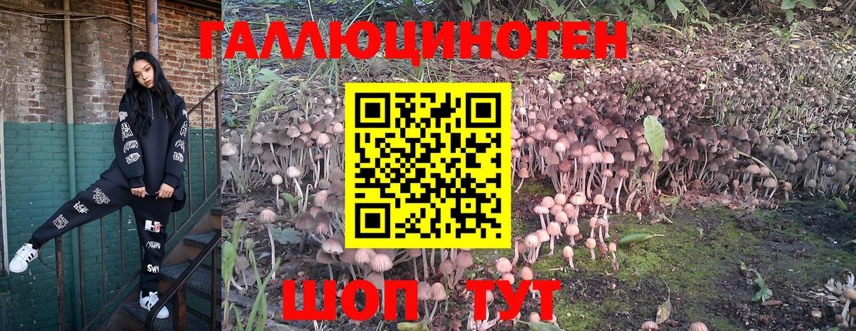 Псилоцибиновые грибы ЛСД  Псилоцибиновые грибы прущие грибы  Вход с VPN  Раменское 